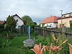 Třibřichy